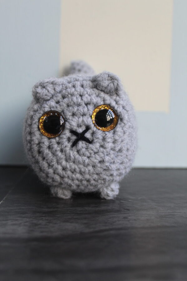 Cat - Image 3