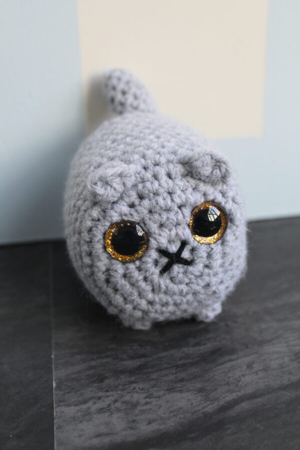 Cat - Image 7