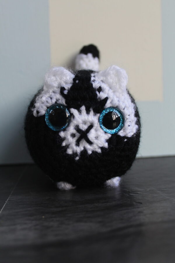 Cat - Image 2
