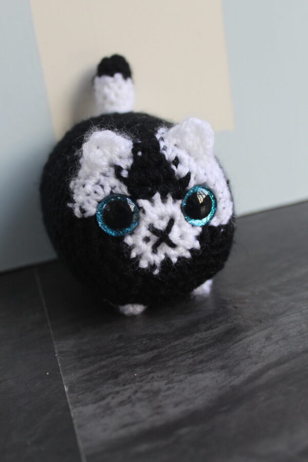 Cat - Image 5